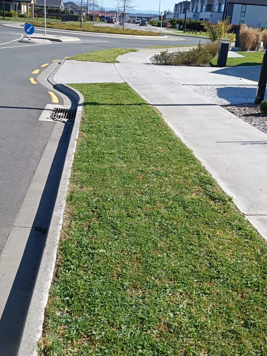 A mown berm beside a driveway in Nelson