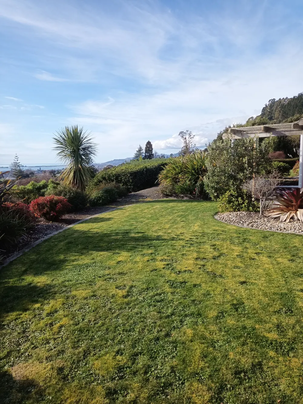 A freshly mown lawn with tidy garden edges in Tasman