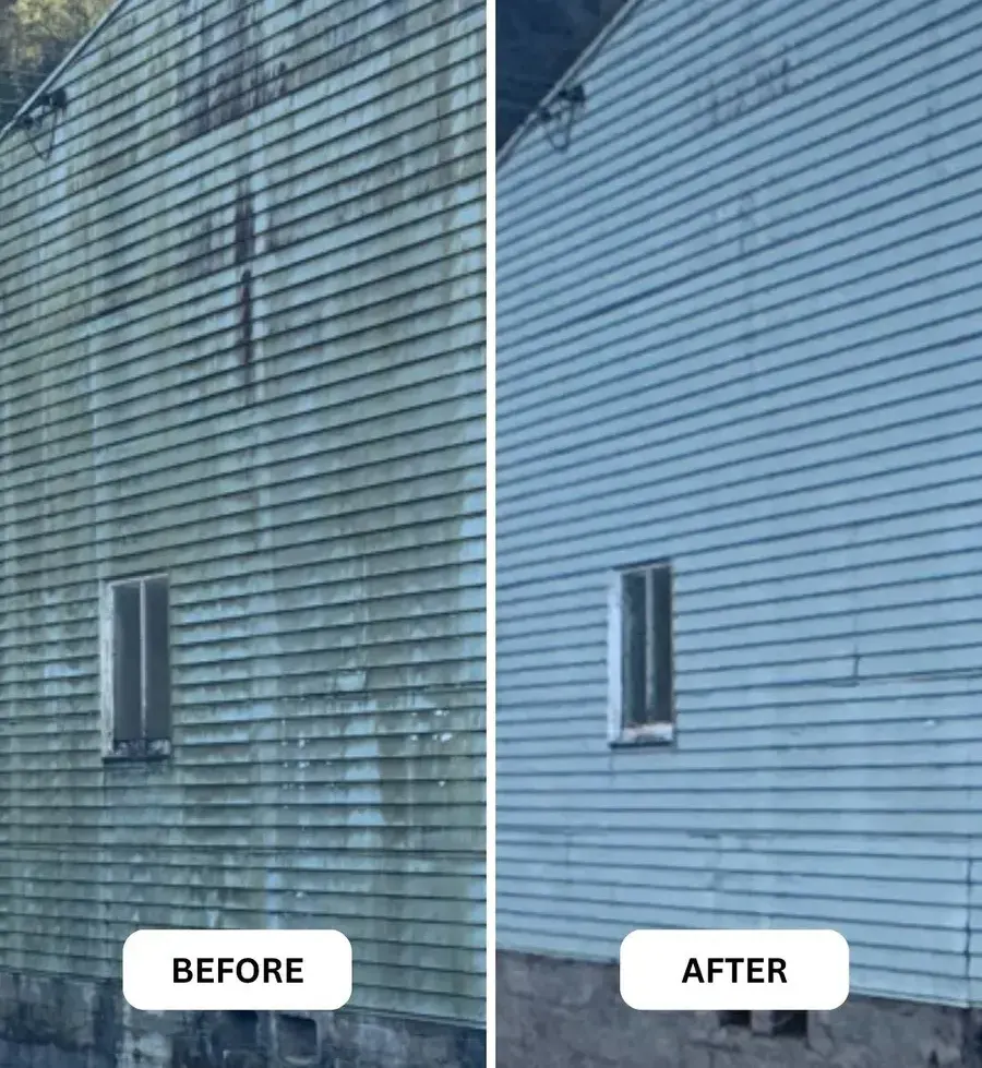 Weatherboard cladding in Nelson, half washed to show the mould removed