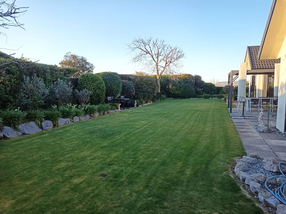 A long hedge-lined lawn in Motueka freshly mown