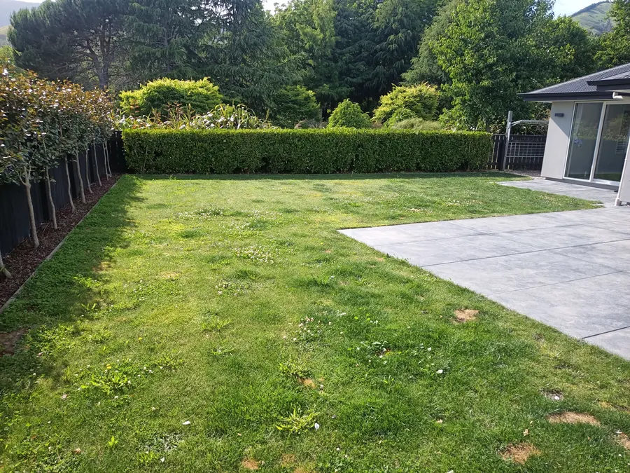 A trimmed hedge beside a mown lawn in Richmond
