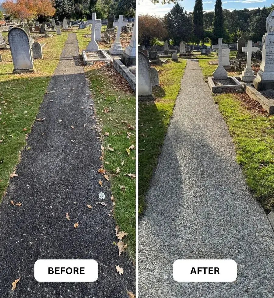 A concrete path in Nelson before and after water blasting