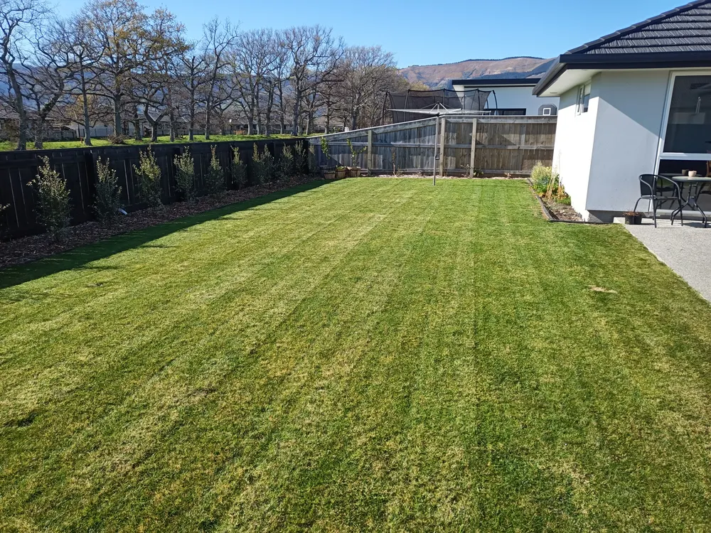 A freshly mown and striped lawn in Nelson