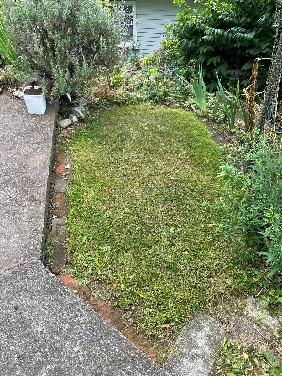 A section in Nelson after a full clean-up